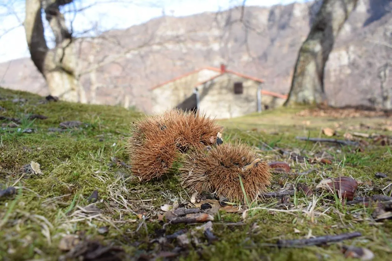 Affittacamere Rifugio La Castellina Hotel Il Castagno D'Andrea